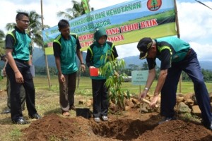 Wabup Tanam serentak bersama Muspida dan masyarakat1